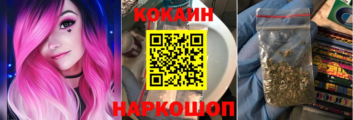 Альфа ПВП Советская Гавань