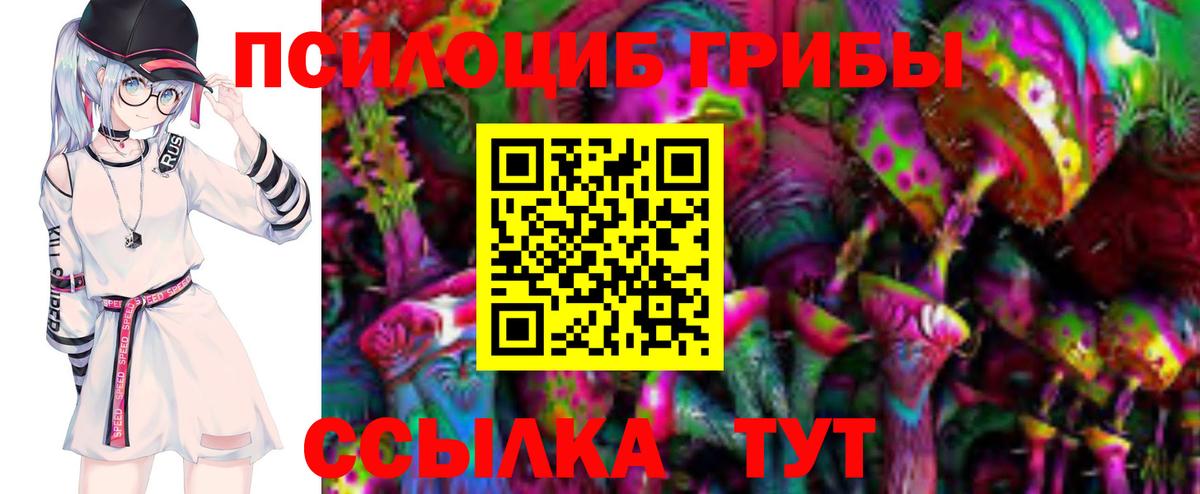 Советская Гавань  Псилоцибиновые грибы GOLDEN TEACHER  Вход с VPN 