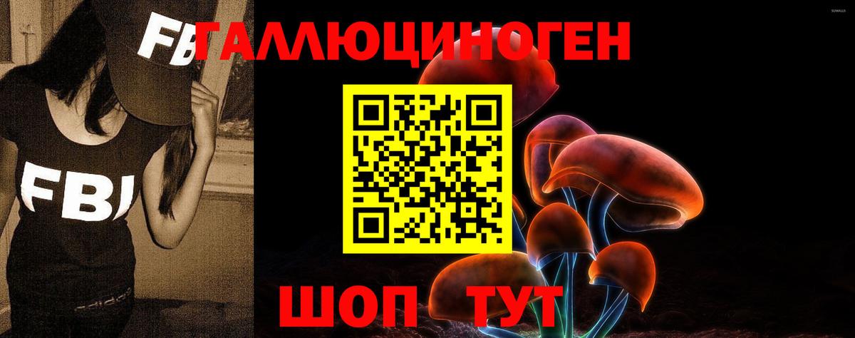 Псилоцибиновые грибы MAGIC MUSHROOMS Советская Гавань